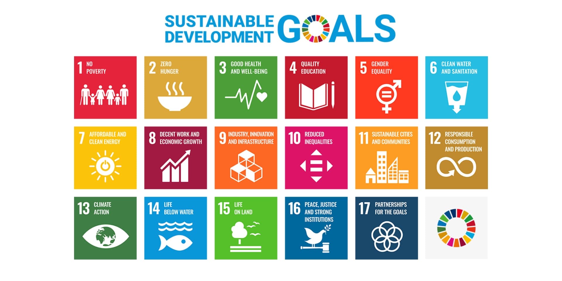 The 17 United Nations Sustainable Development Goals